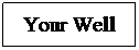 Text Box: Your Well
